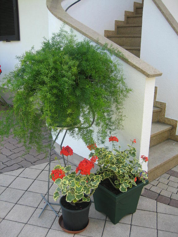 Appartement Weissbacher Лофер Екстер'єр фото